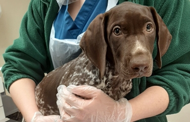 Broadway Veterinary Surgery Wallasey Gallery Image 2